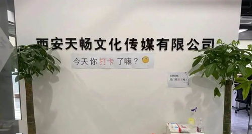 政策服務雙管齊下，數字文創賦能未來 曲江369園區助力企業紓困發展